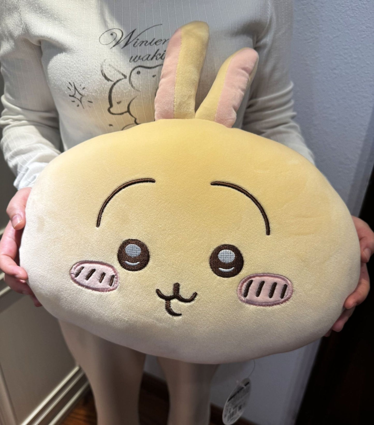 Chiikawa Usagi and Hachiware pillow